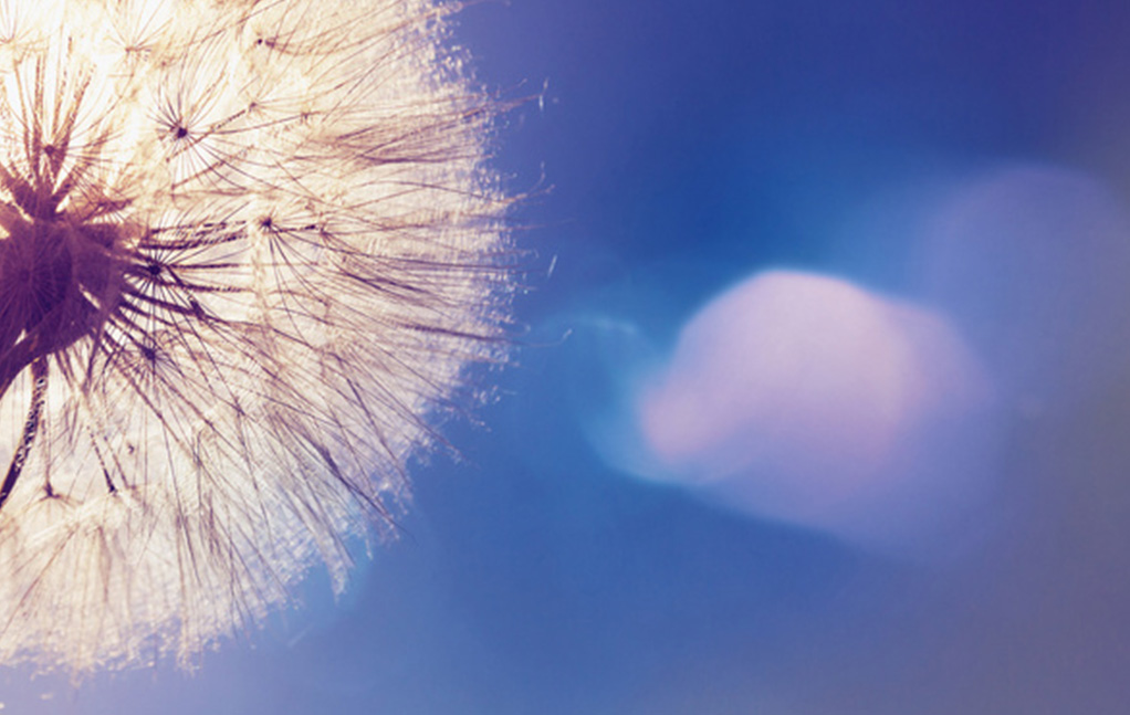 瓦力游戏·(中国区) - 官方网站